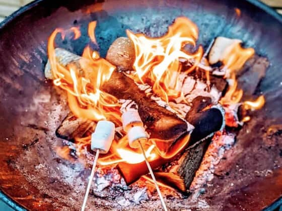 Marshmallow toasting over fire-pit - extras