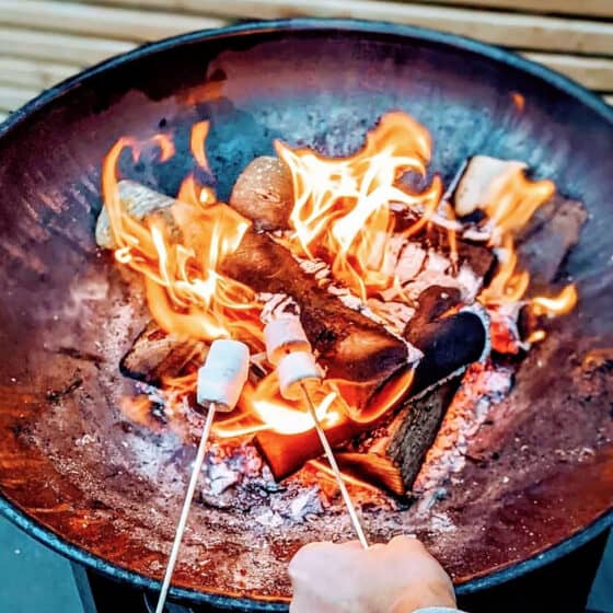 Marshmallow toasting over fire-pit - extras