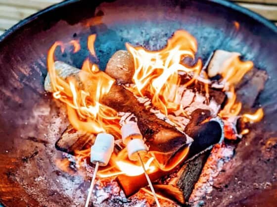 Toasting marshmallows over a fire-pit - extras