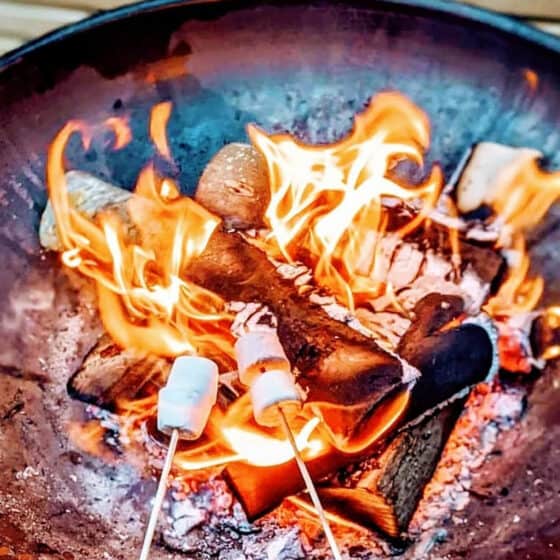 Toasting marshmallows over a fire-pit - extras