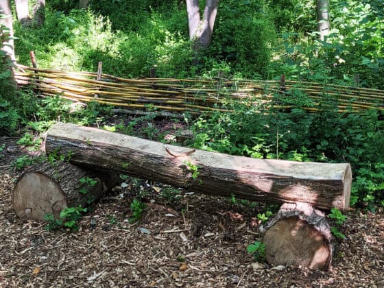 Log bench in the Polehanger River Woodland