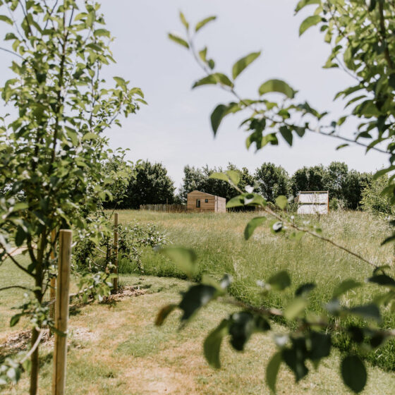 Spring at the meadows at Polehanger Farm, luxury glamping near London